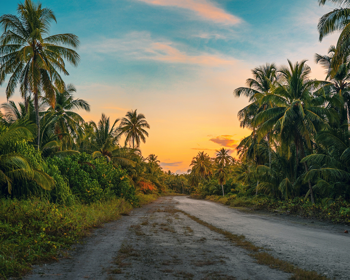 Rainforest with a road and a sunset in the middle.